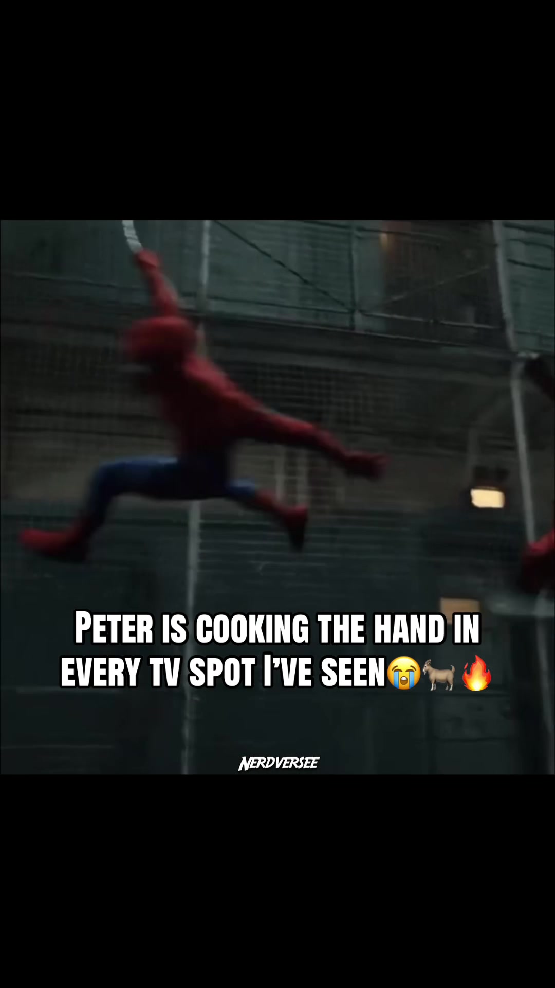 @nerdversee