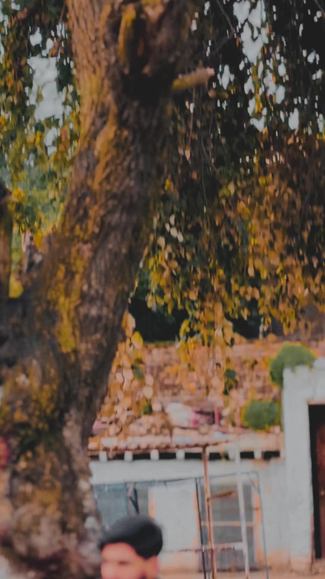 @(अवैस)راجہ اویس 🔥