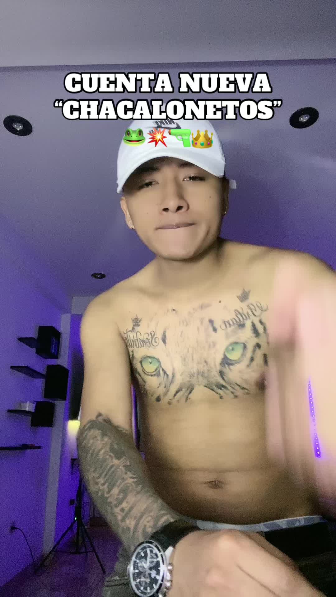@👑🐸ᴄʜᴀᴄᴀʟɪᴛᴏ-ᴊʀ🐸👑
