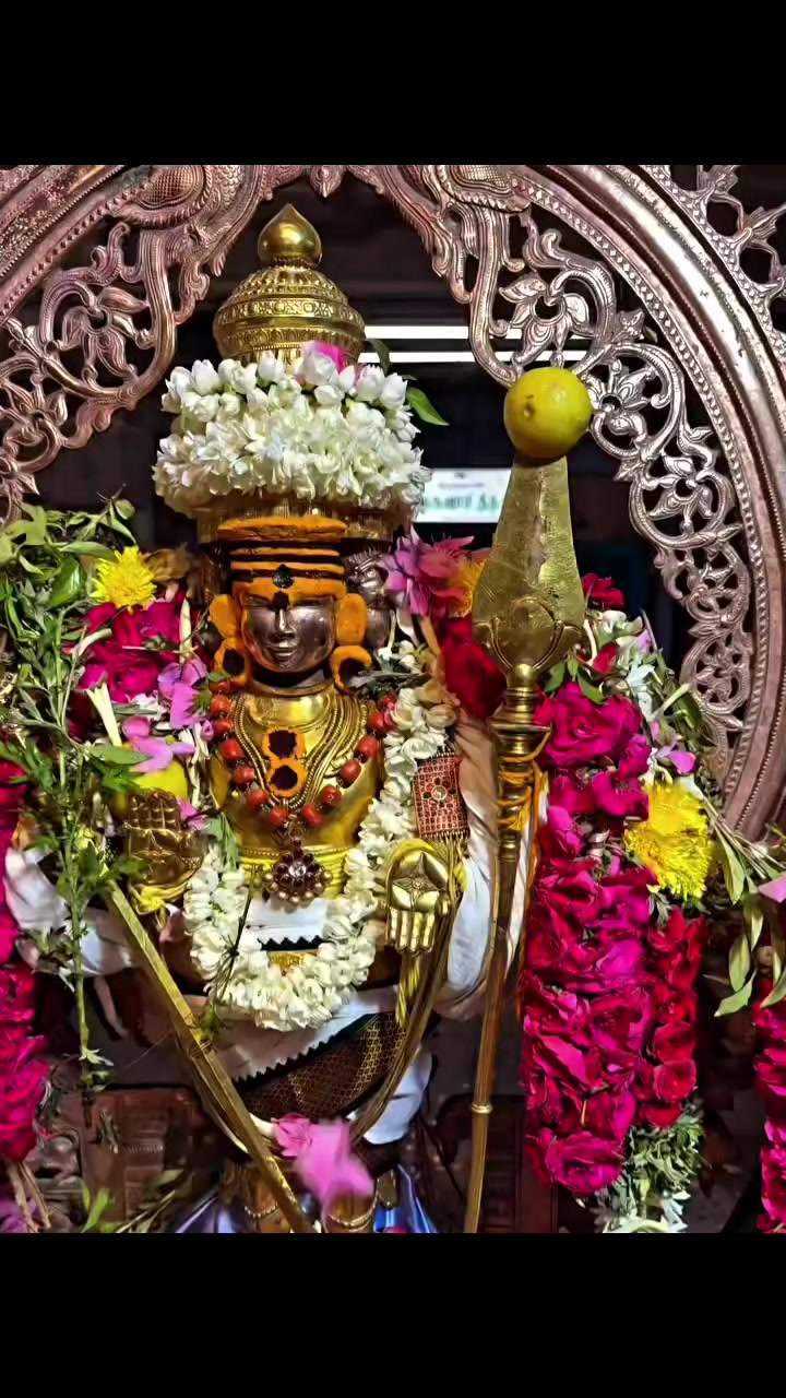@சேட்டைக்காரன்
