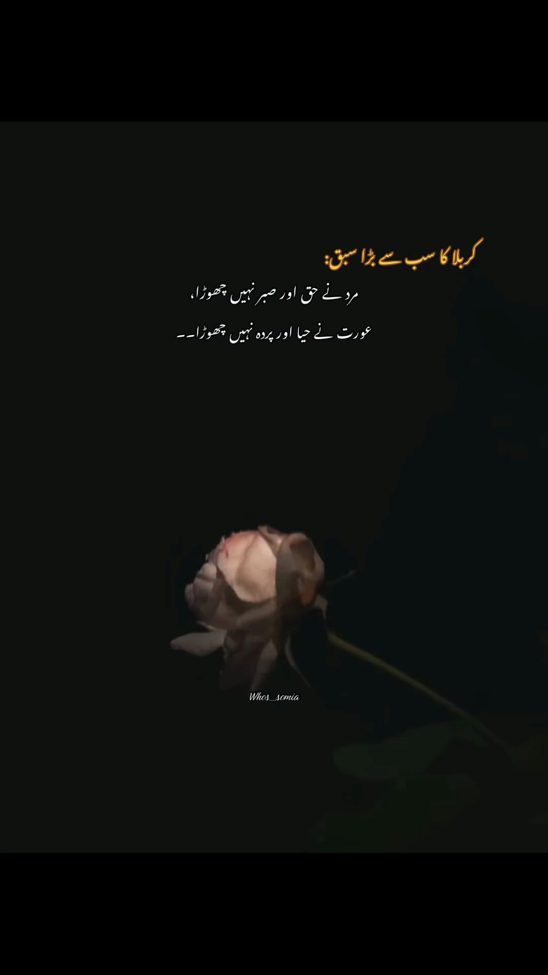 @سومیا🕊️