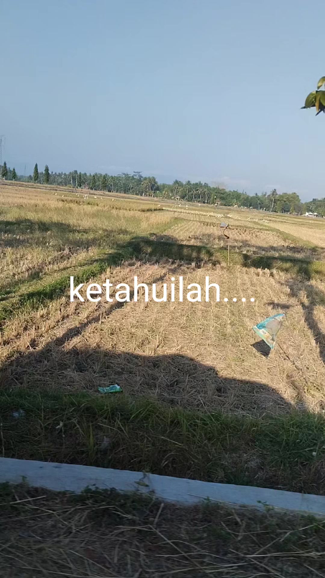 @kakreen