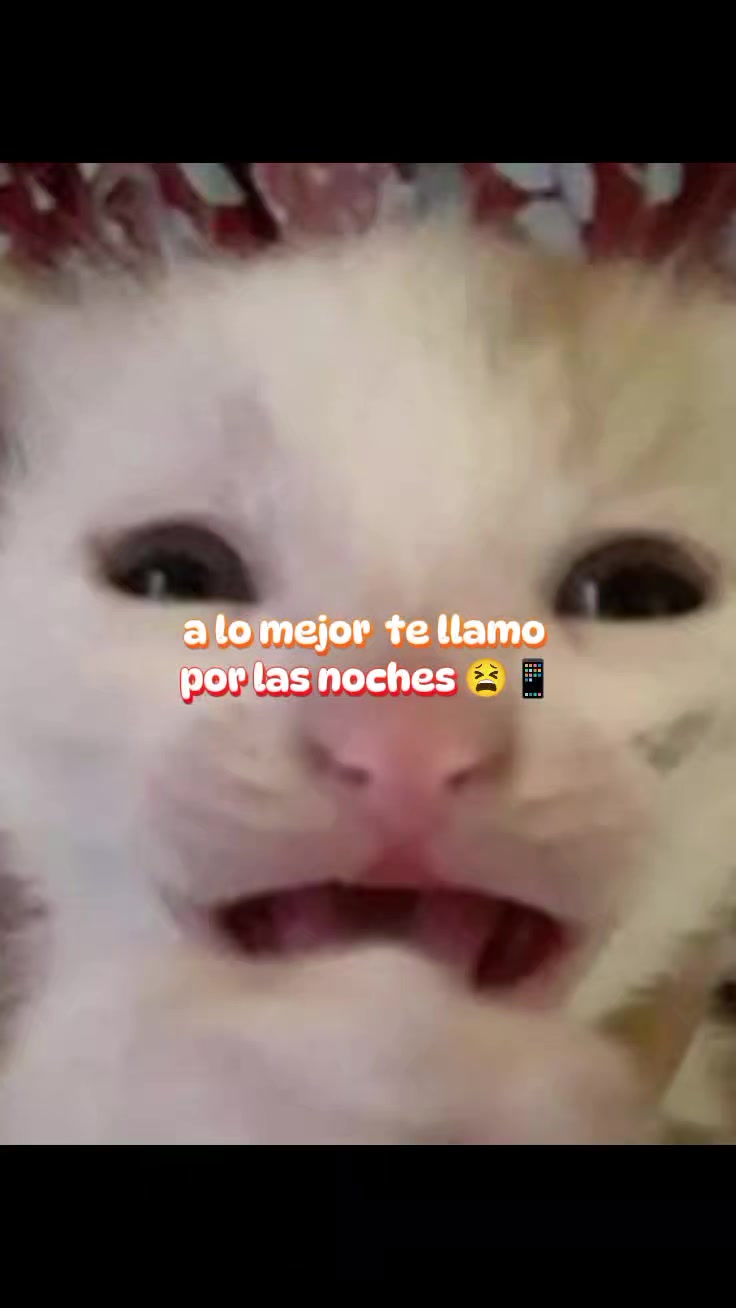 @@alexmejia