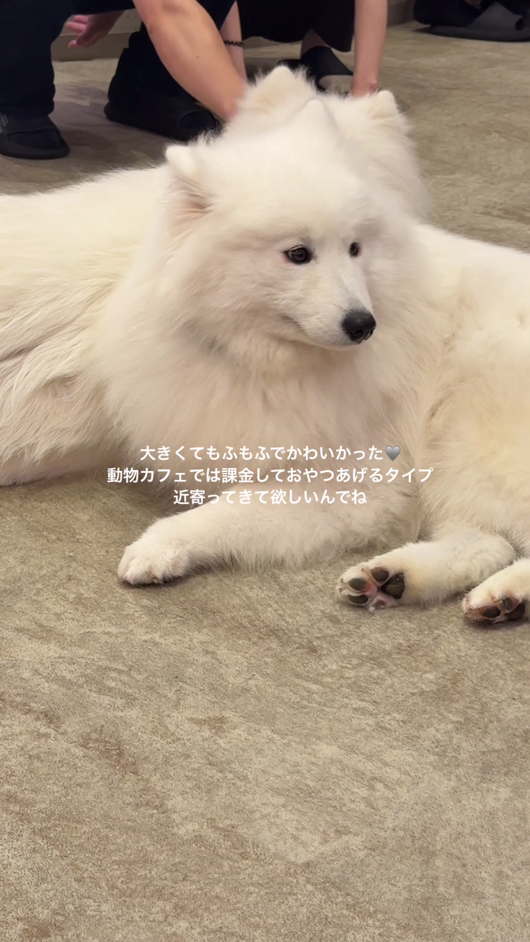 @(⑅•ᴗ•⑅)◜..°♡