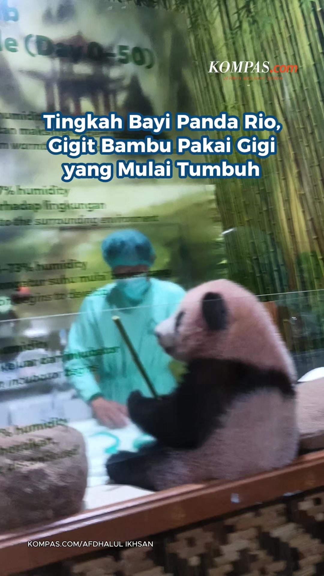 @Kompas.com