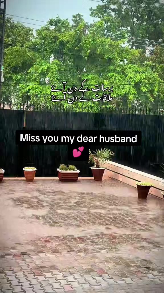 @Shafia❣️