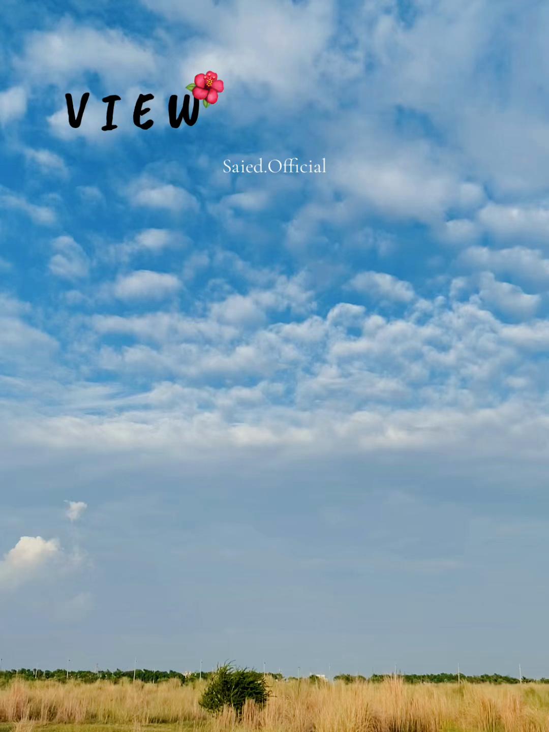 @ꜱᴀɪᴇᴅ¯➆
