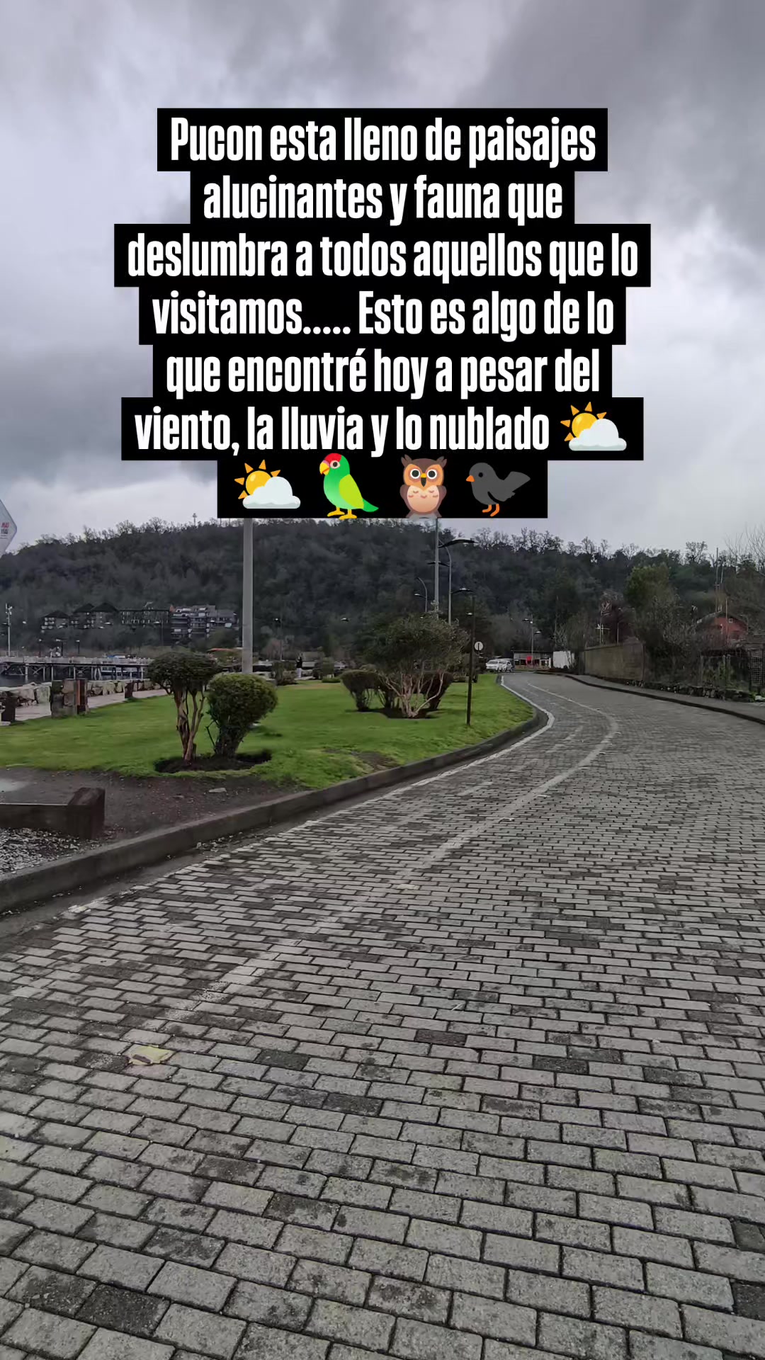 @Felipe Dinamarca Yeomans