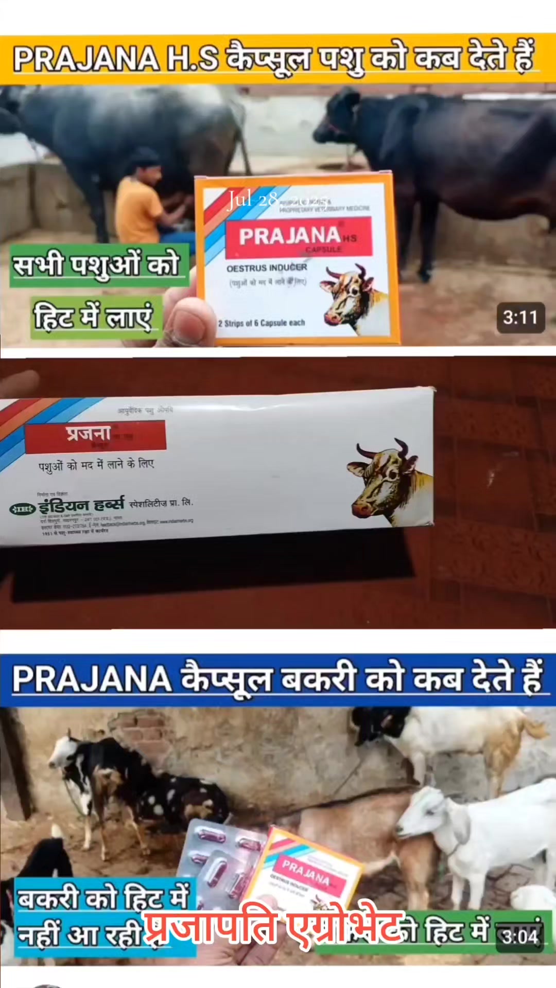 @Prajapati Agro Vet
