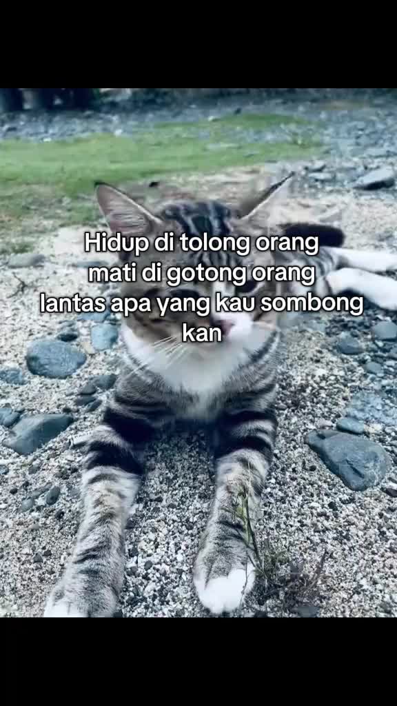 @wong spele🥀