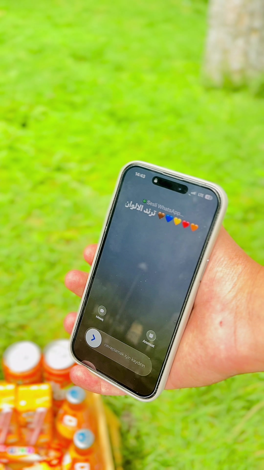 @👑🦋عاشقة القهوة🦋👑