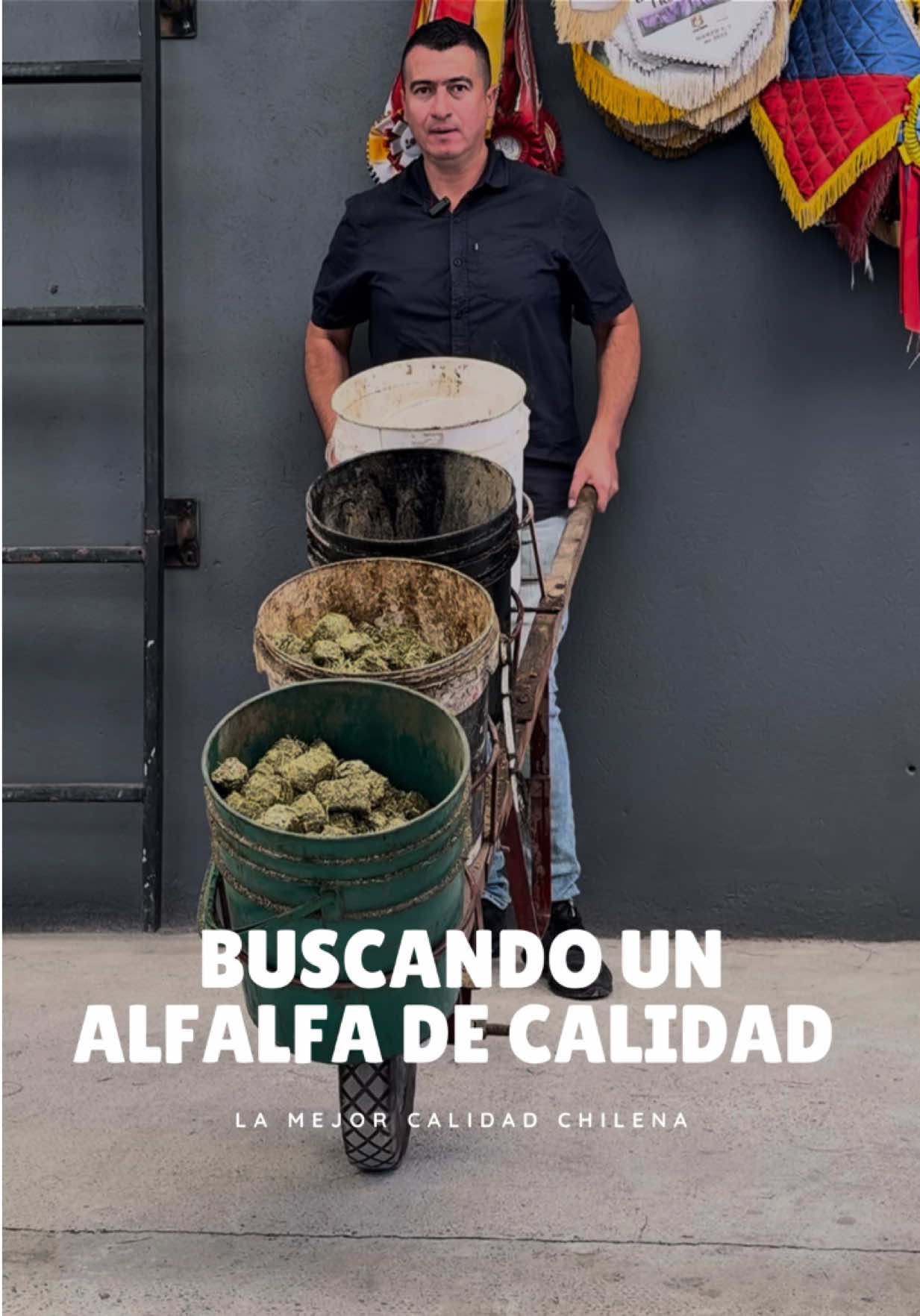 @Rehagronegocios