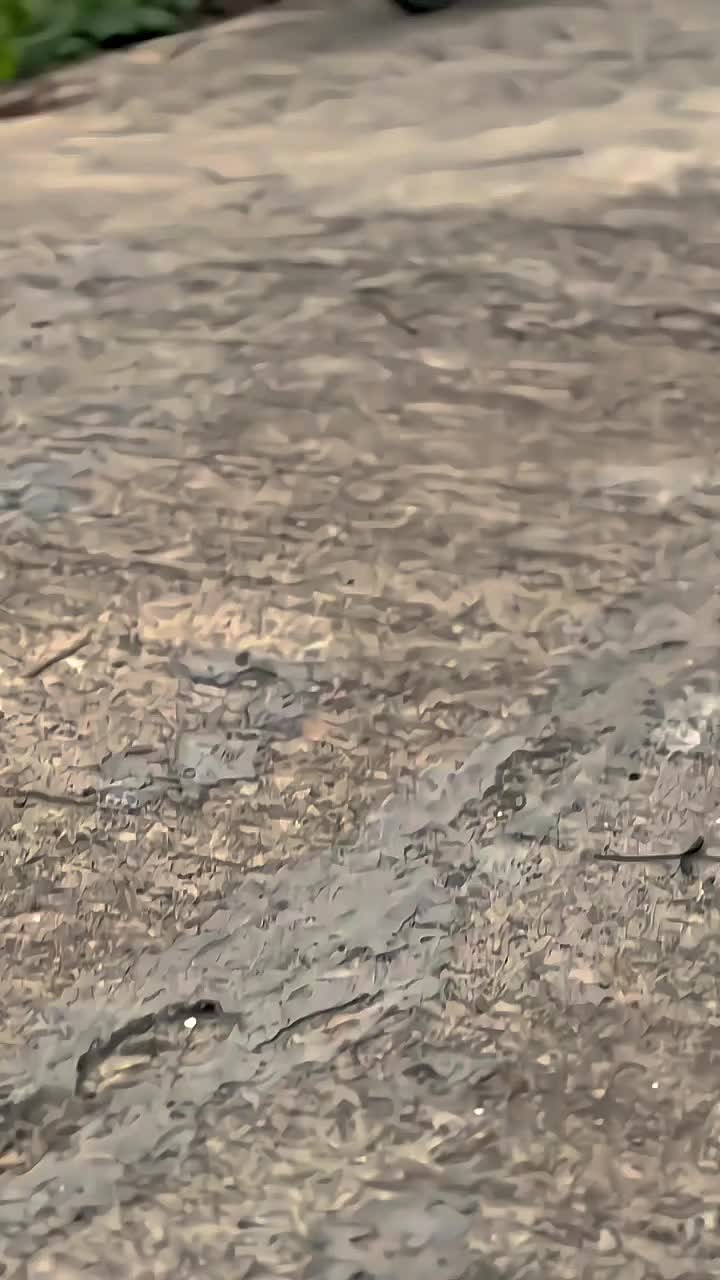 @_Irfan 🚩