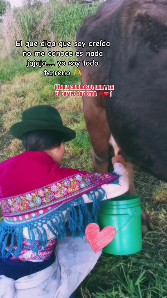 @alilemache1