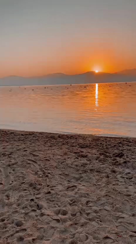 @delalim_02