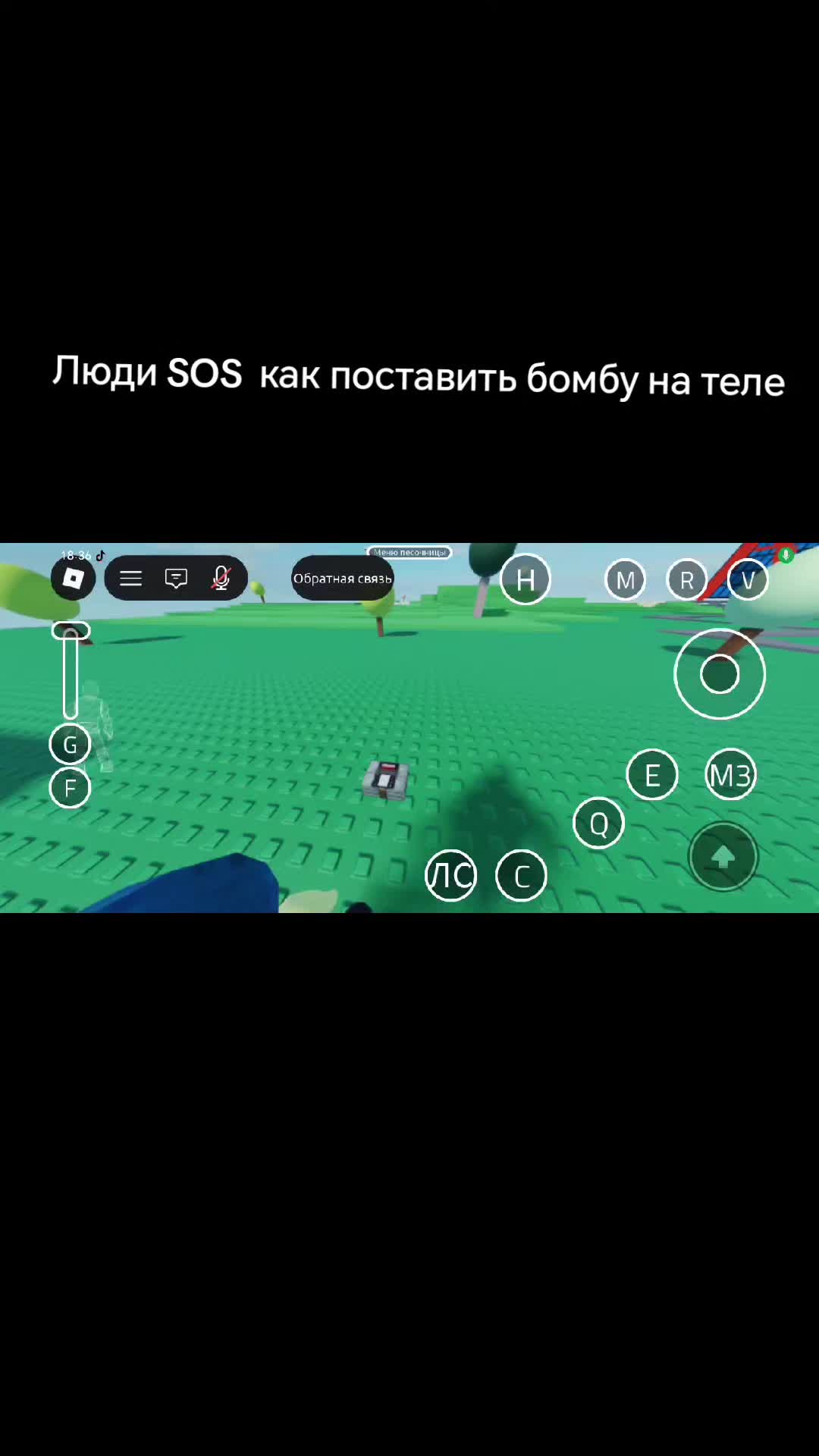 @кто любит свити Фокс
