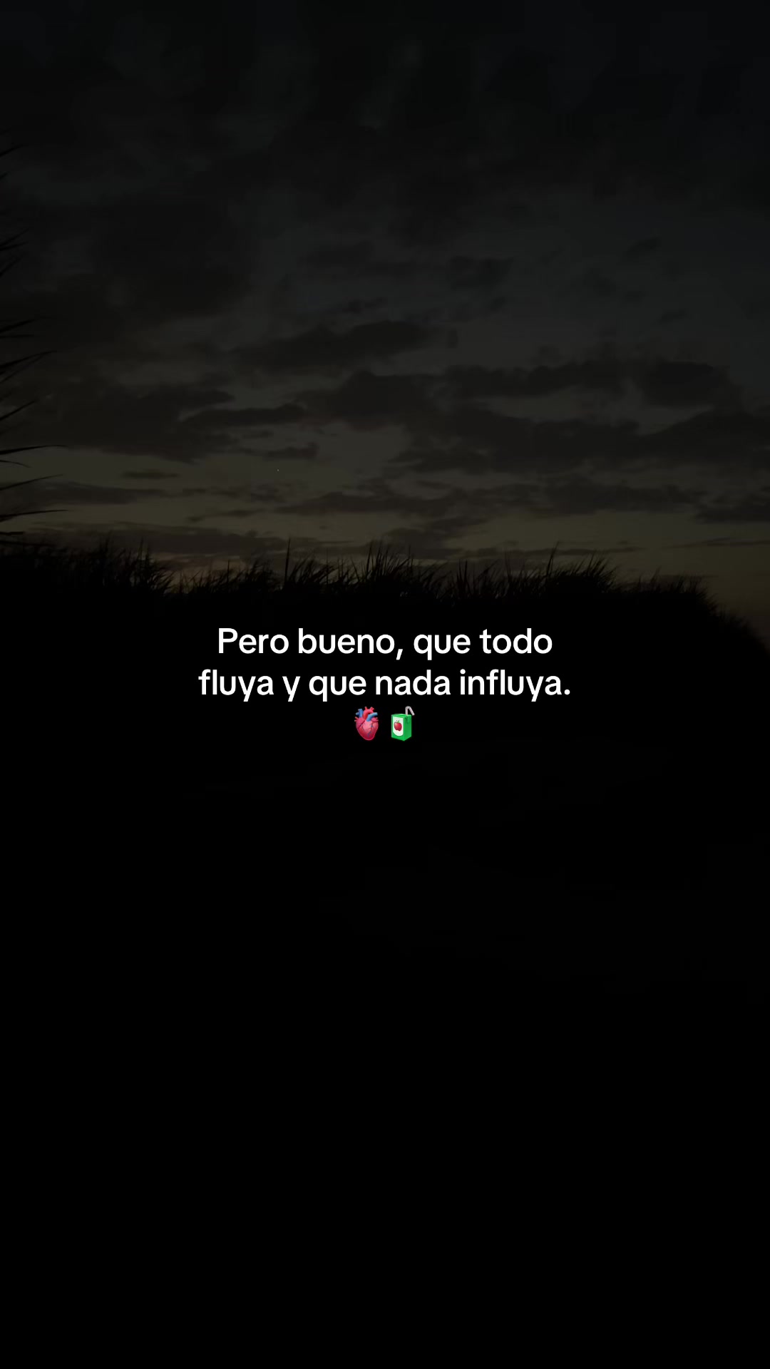 @Gatocix 🐱