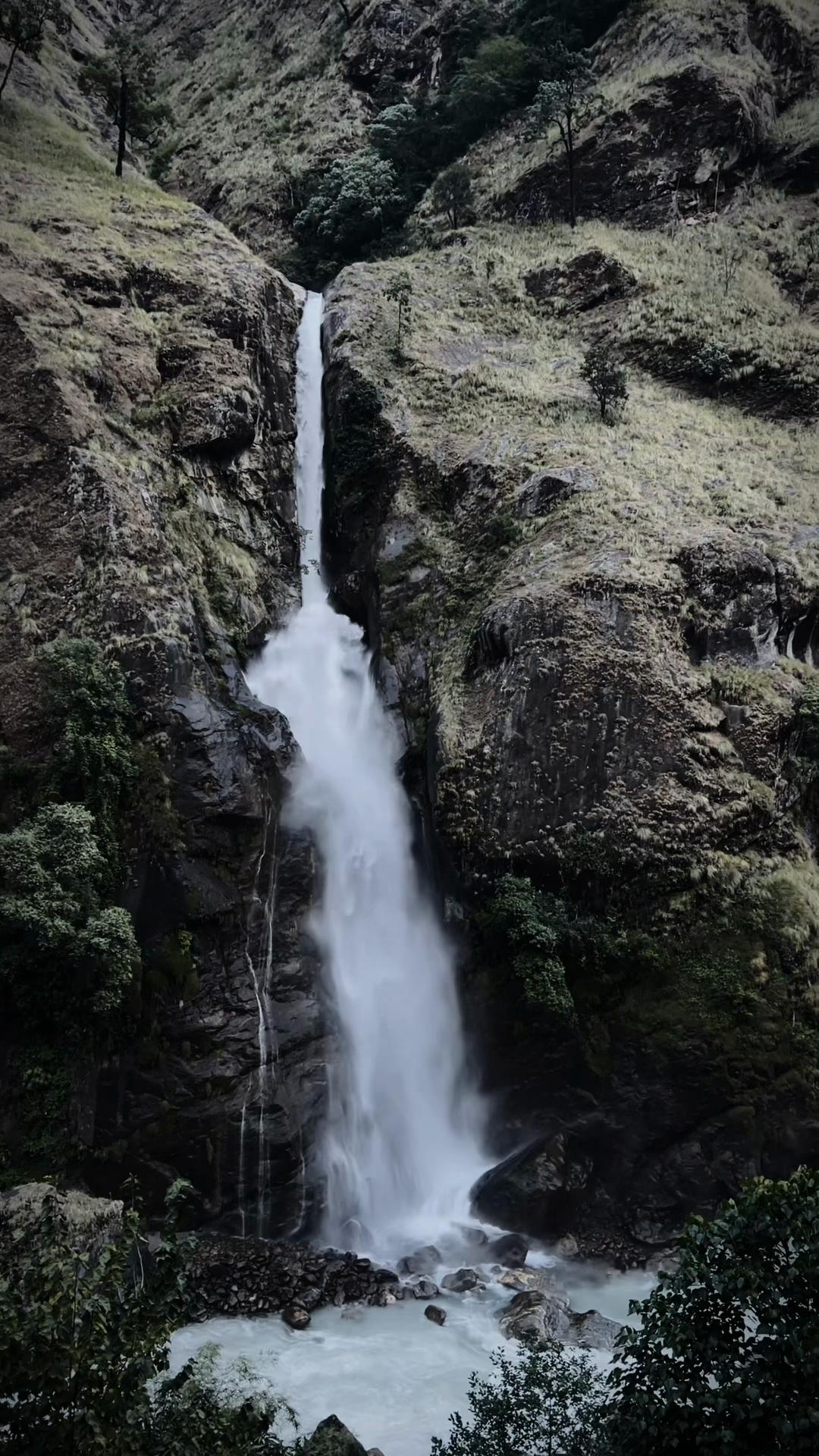 @Jyoti 🕊️❤️