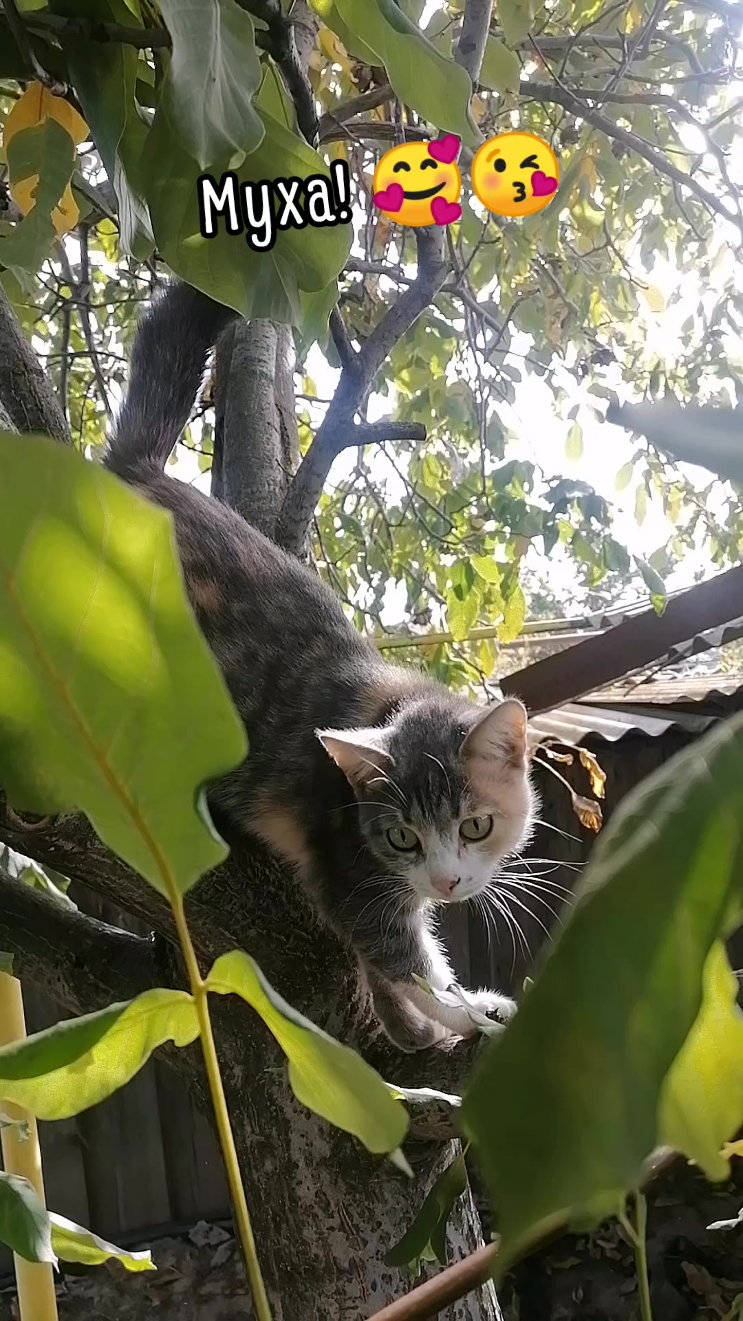@Татьяна