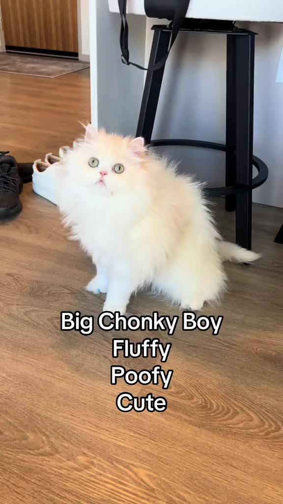 @Poof