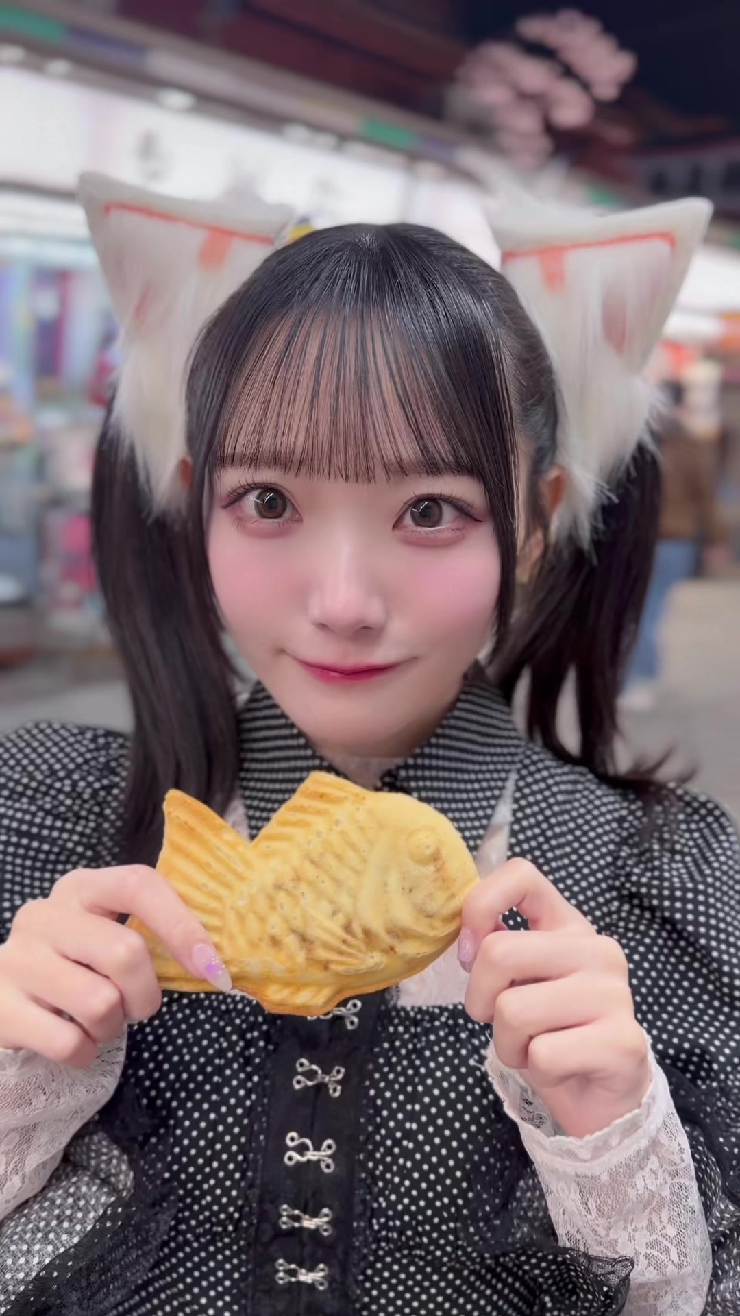 @本田珠由記