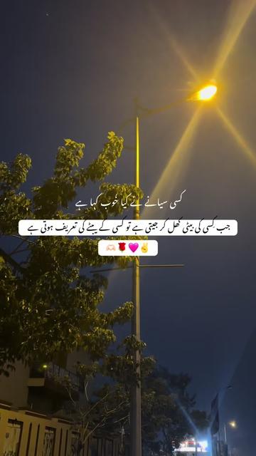 @diya chudary