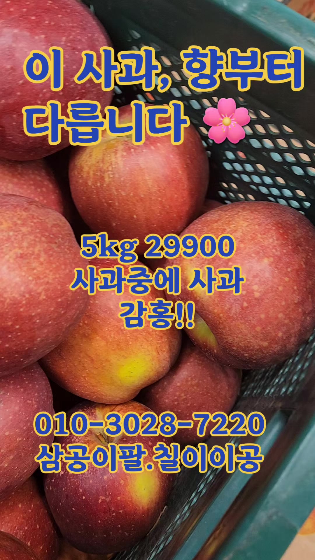 @새콤과일장터