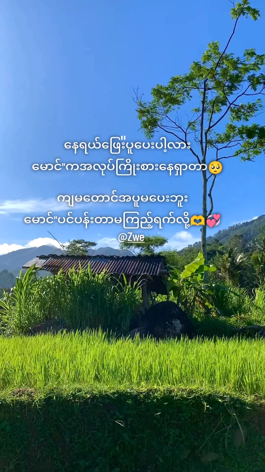 @๐ฏ๐ฝ๐พ๐๐๐ถ๐ ๐ฉ๐๐