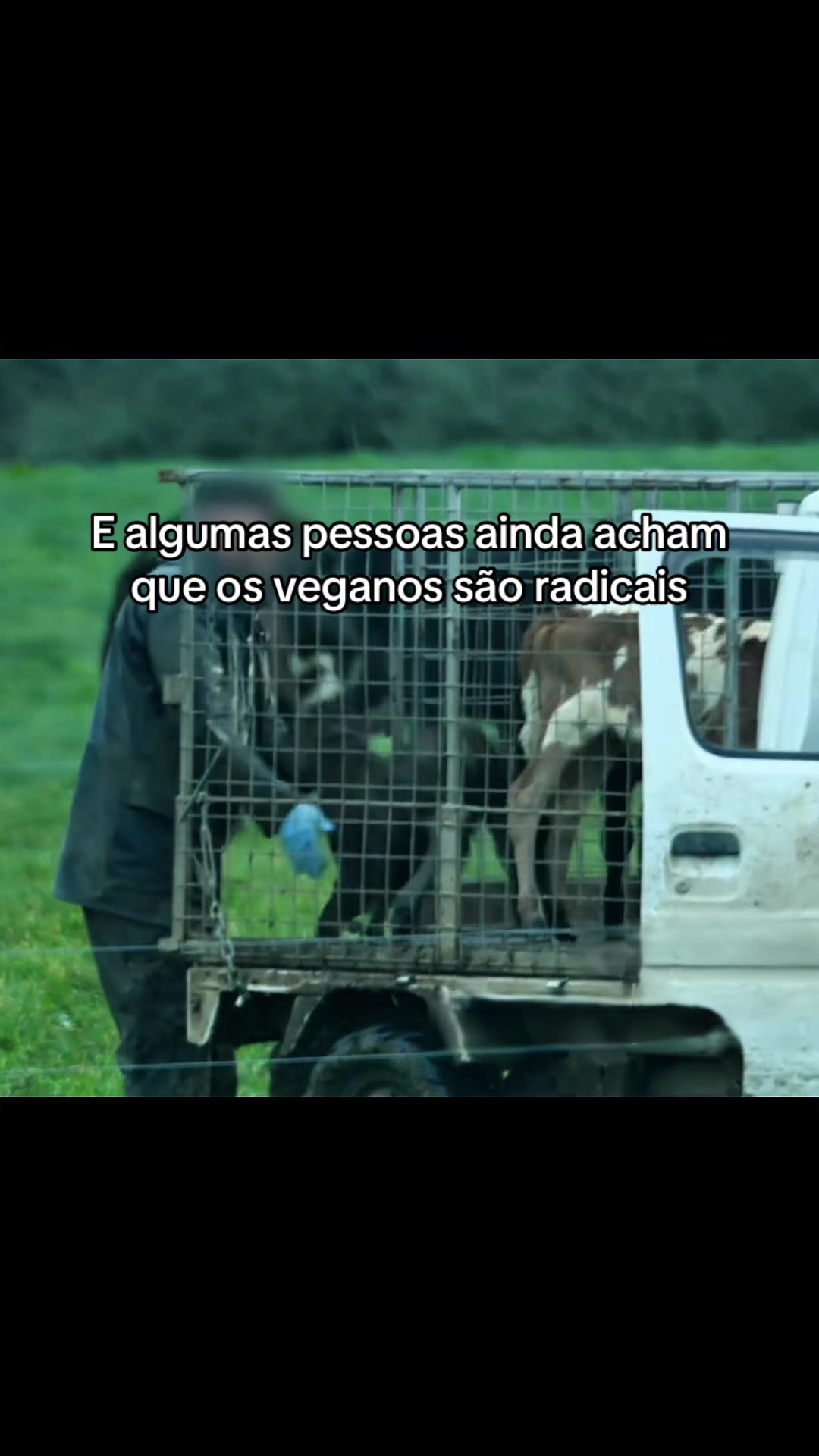 @Carne é cruel