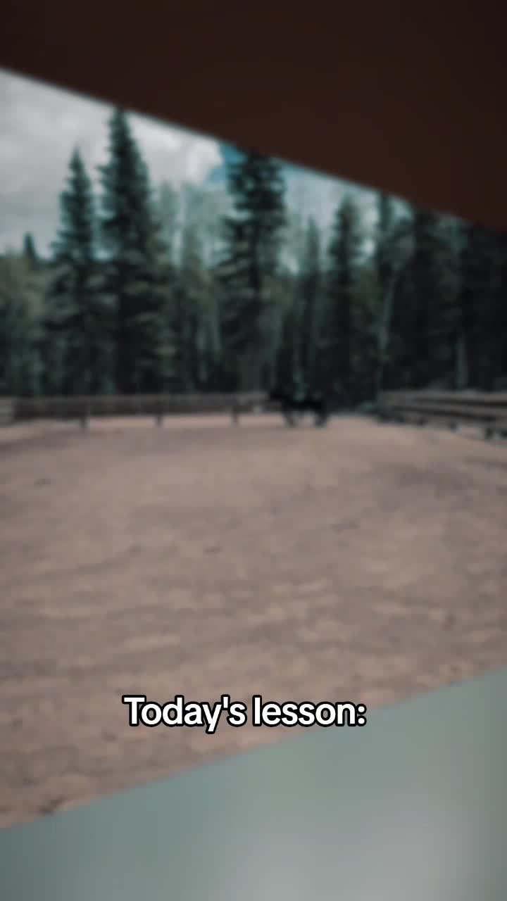 @🐎 ᔕᒪEEᑭY ᕼOᒪᒪOᗯ ᕼOᗰEᔕTEᗩᗪ 🐎
