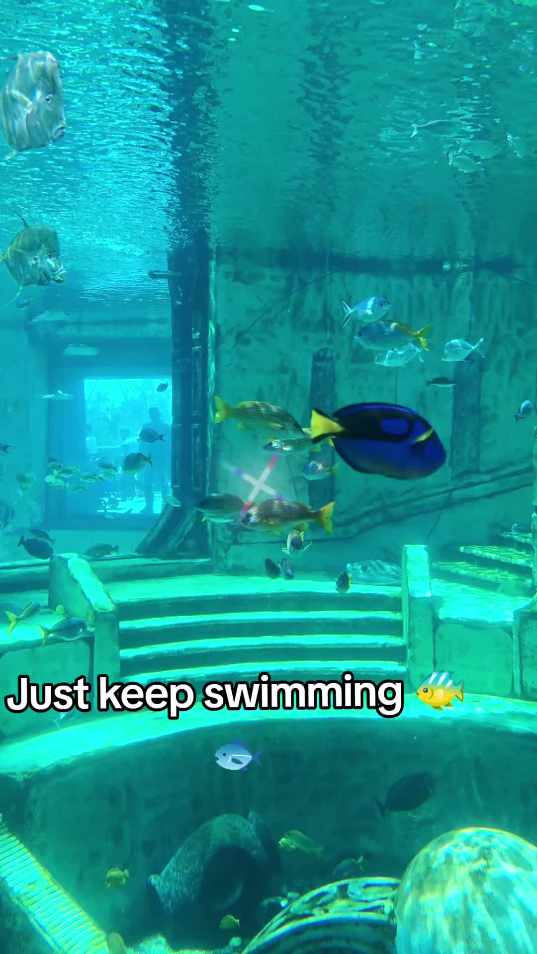 @Monika