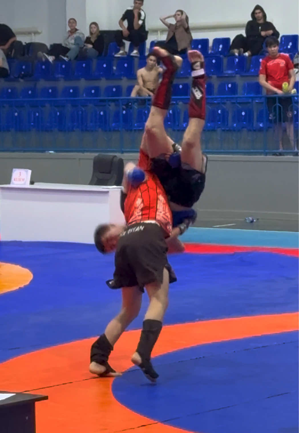 @ALISH MMA