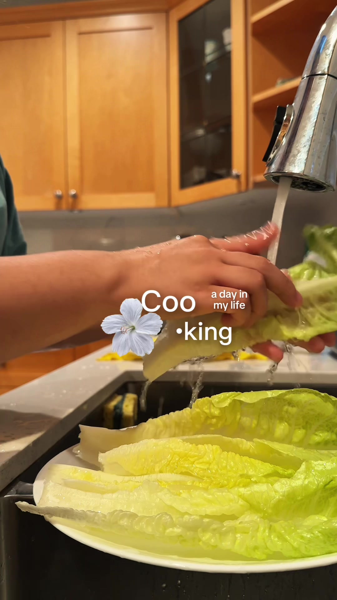 @waang_mo0