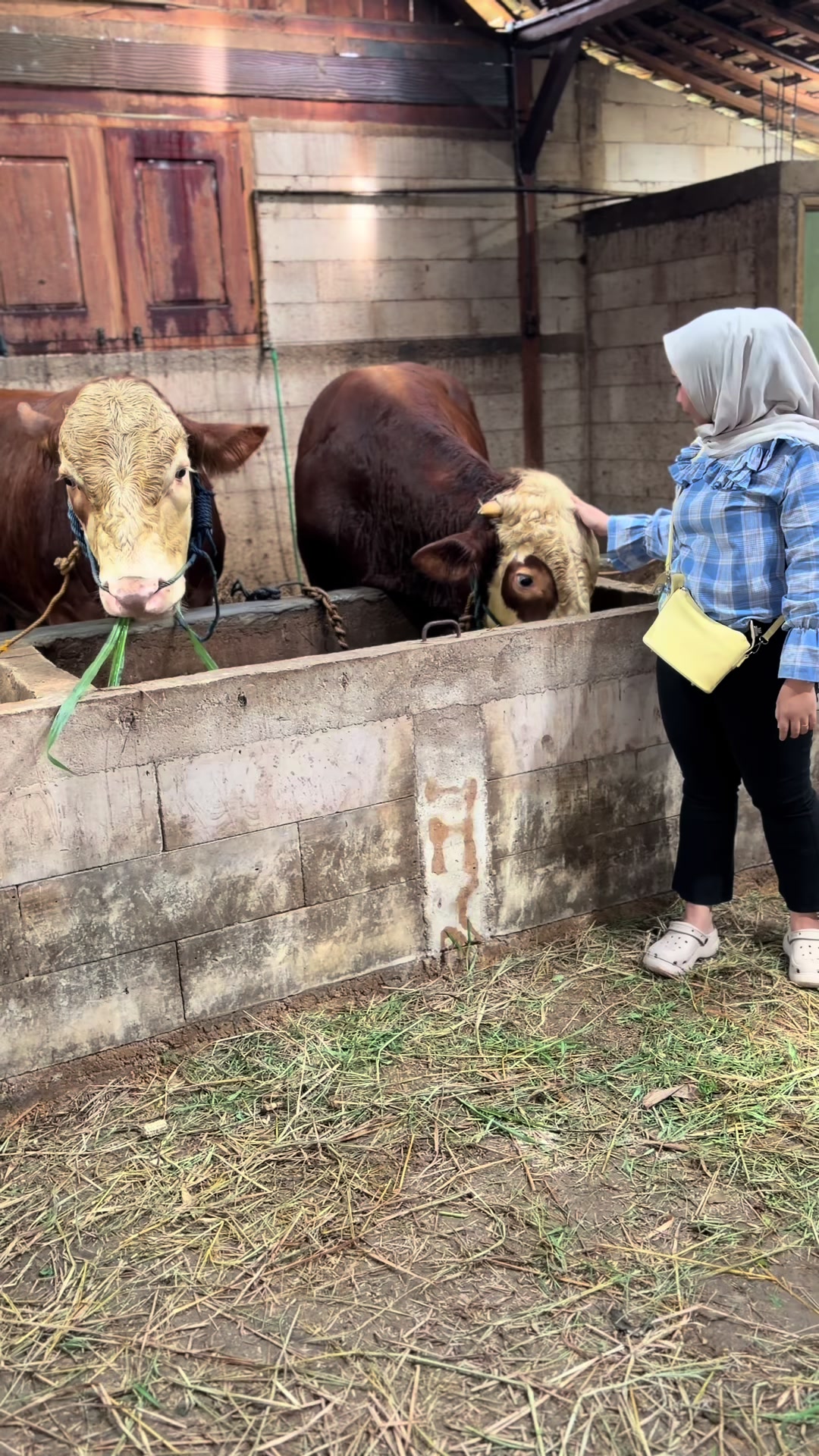 @zero farm