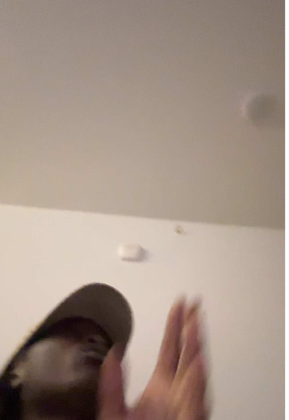 @tearayyshere