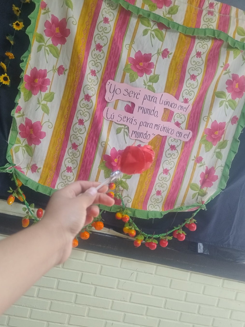 @Miss Moni 📚