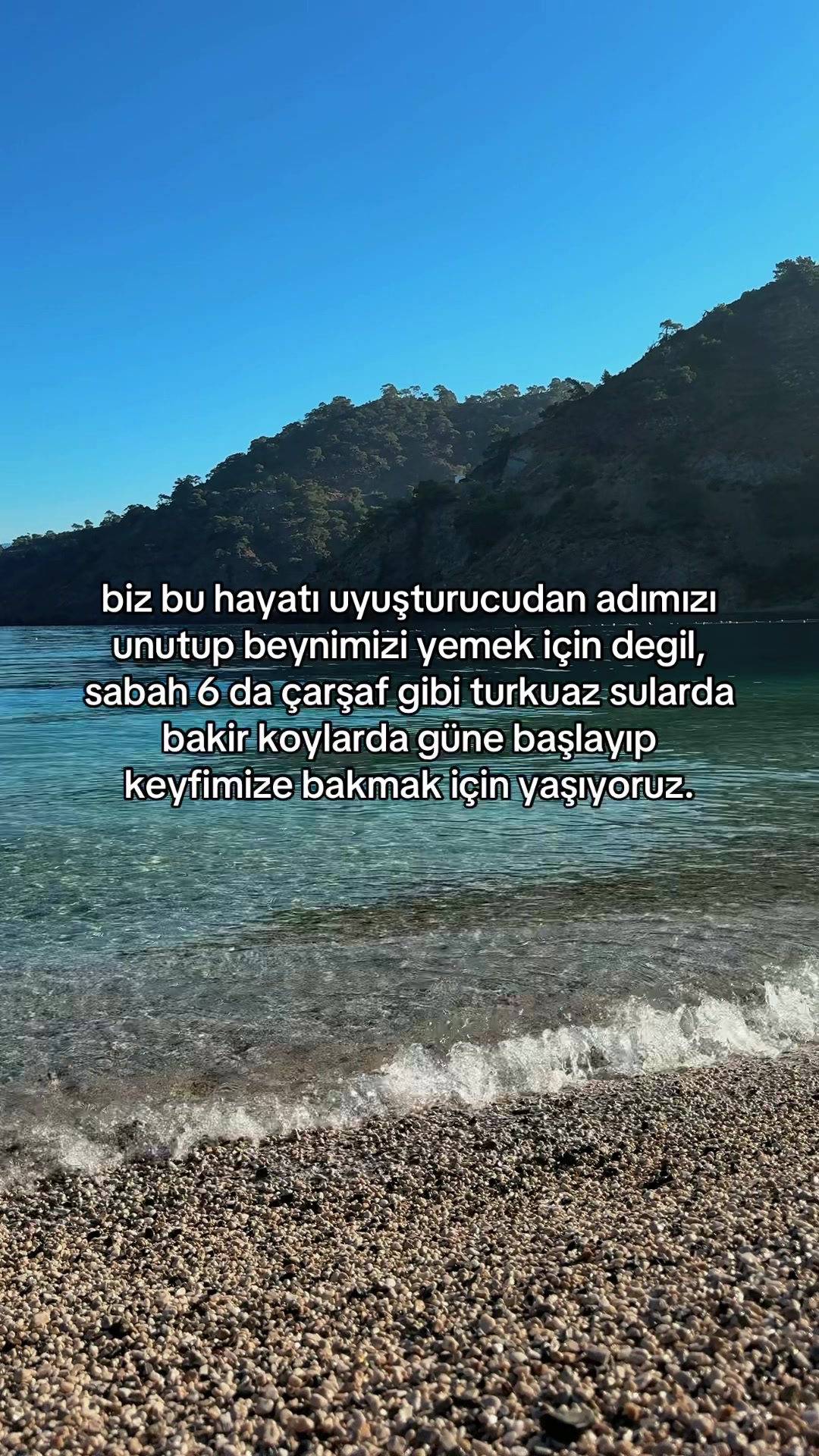 @Tolunay