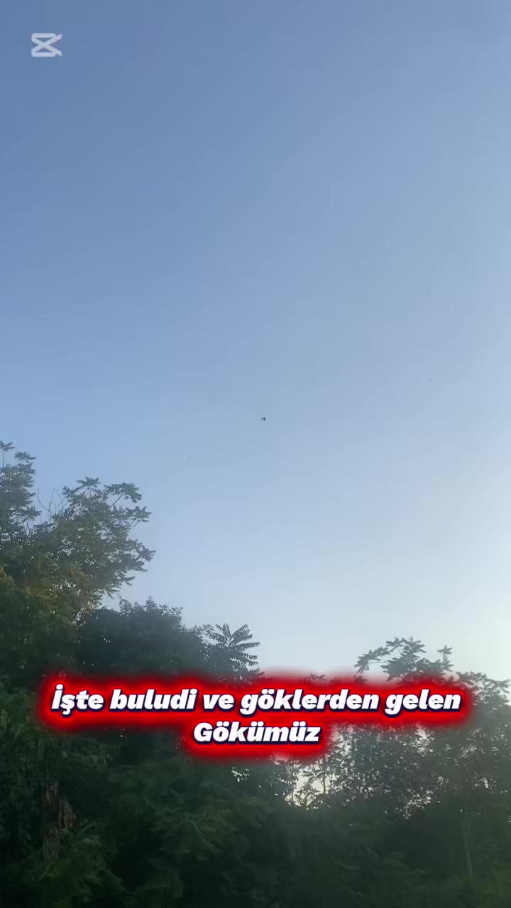 @Miro dolapçıları