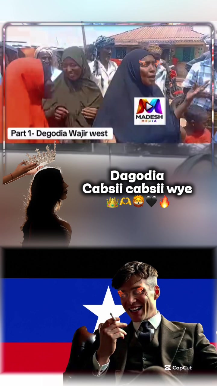 @TV_DAGODIA🇭🇹🦁🫡🦅🚨