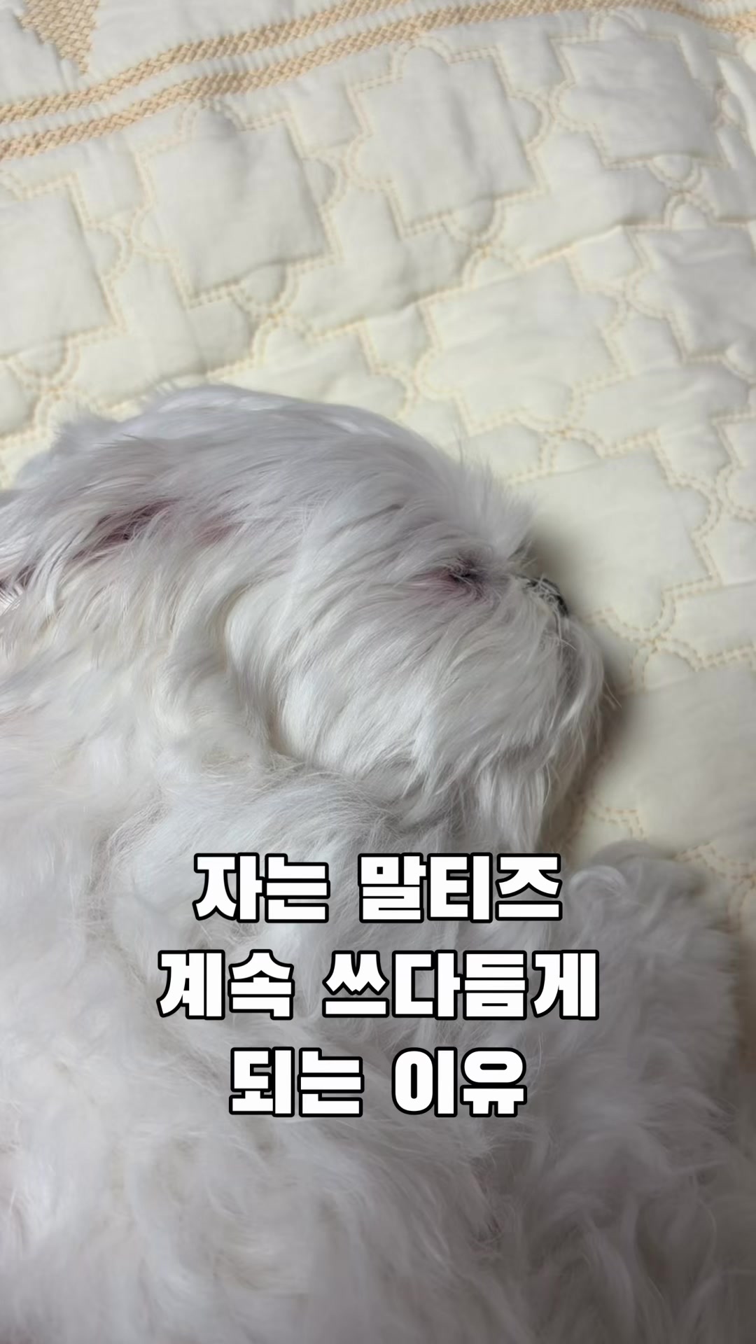 @박까까