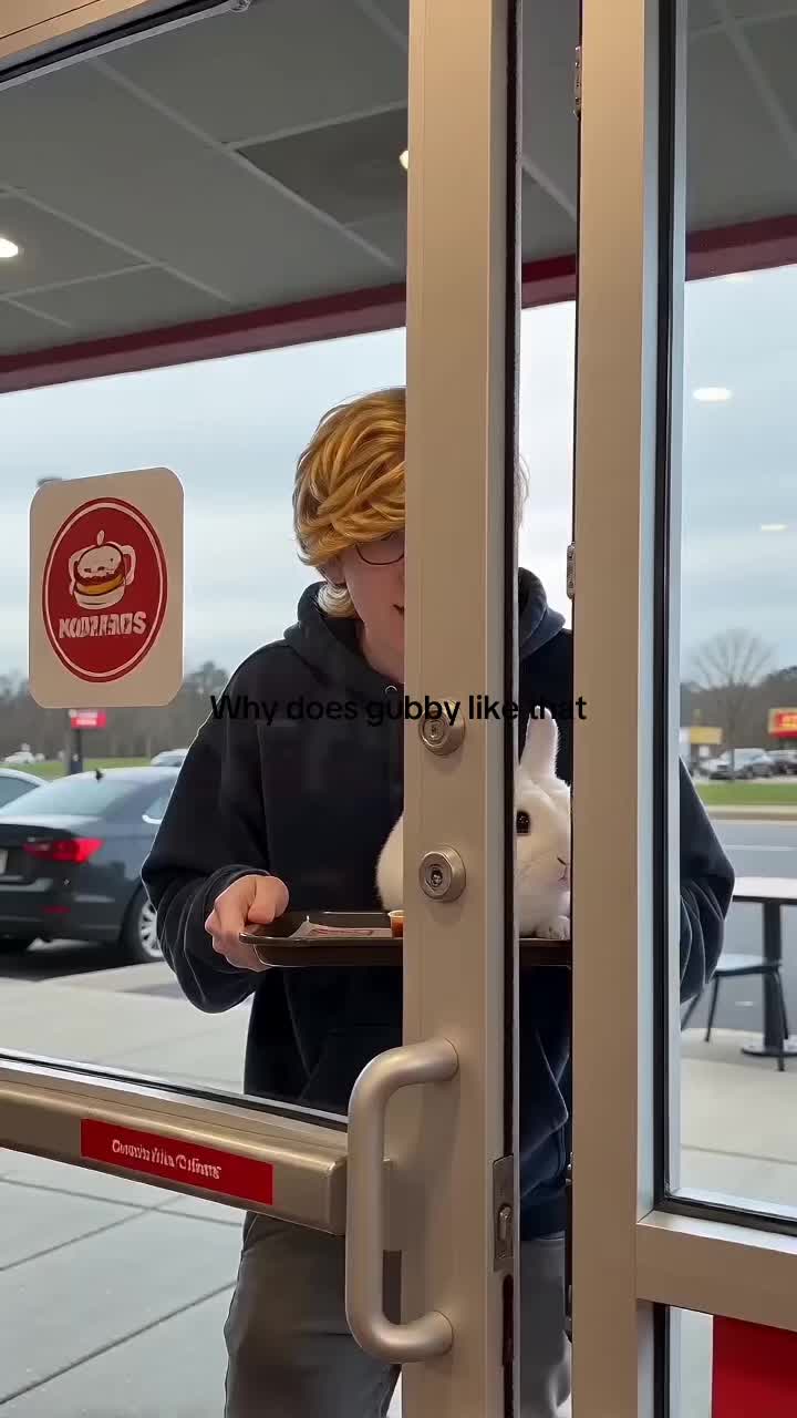 @Imstevecc2