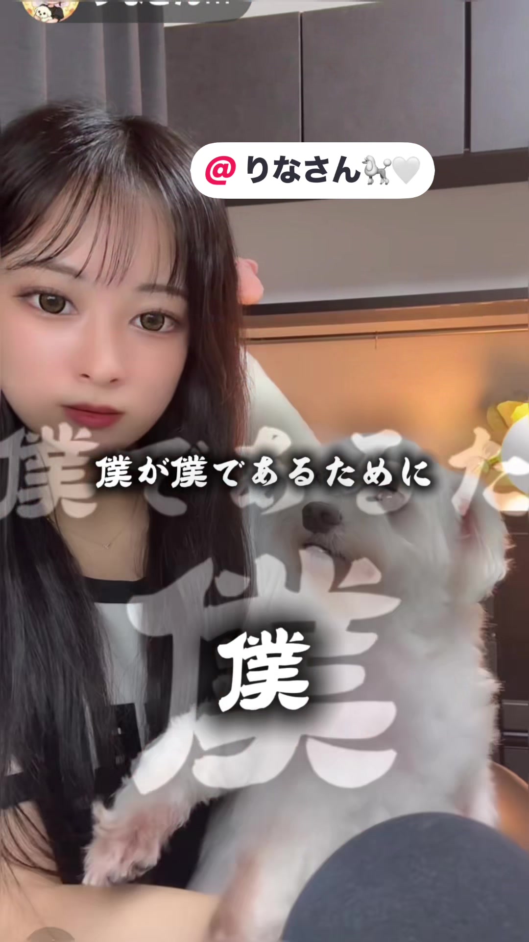 @🐩🤍⚽️🚙全身鏡𝐑𝐲𝐮🐰💎️🦔🍪