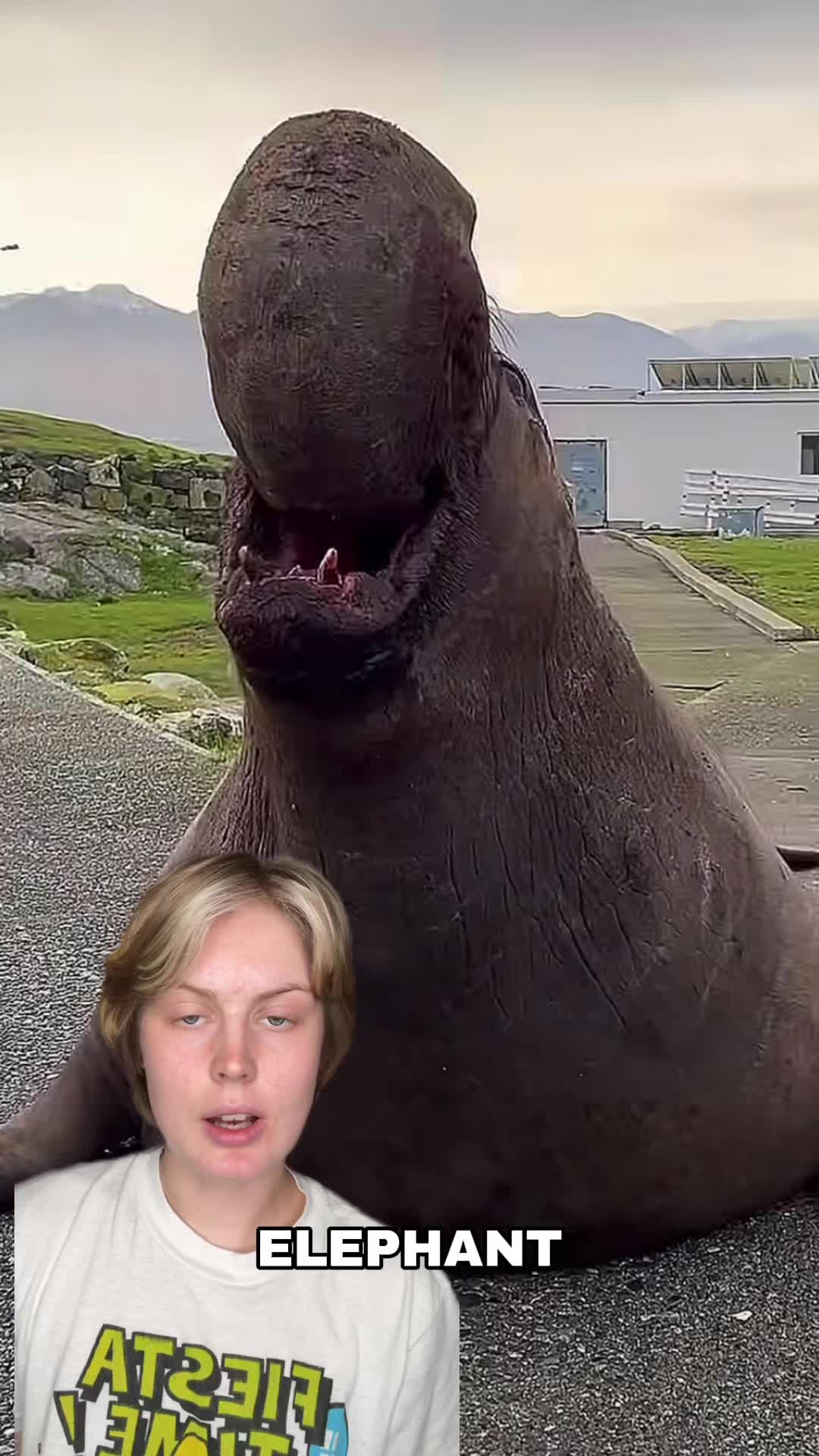 @River