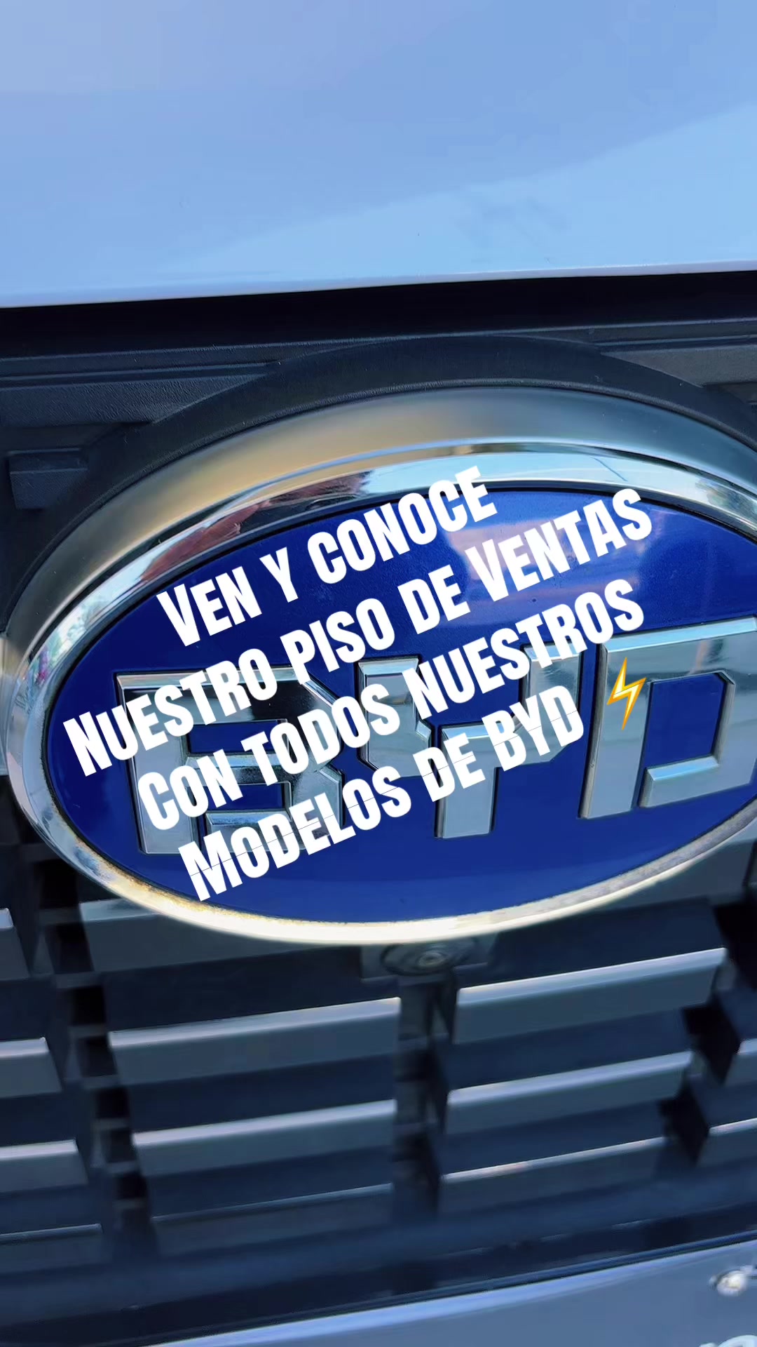 @El Rey de BYD