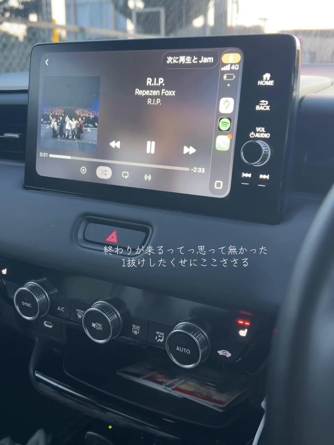 @tsyブルーベリー