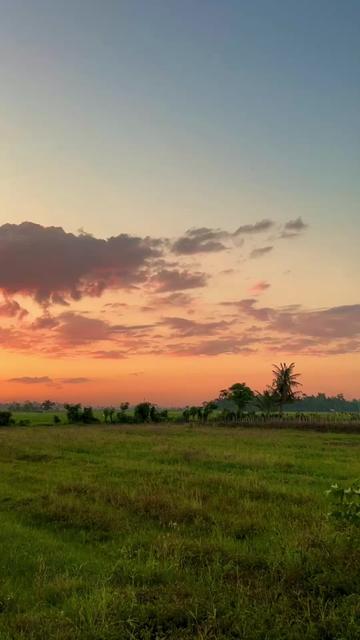@pecint4senja