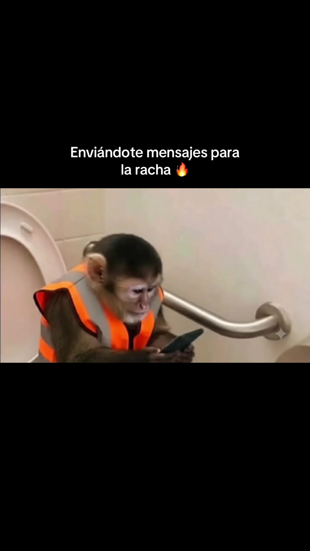 @RabPesito 🔥