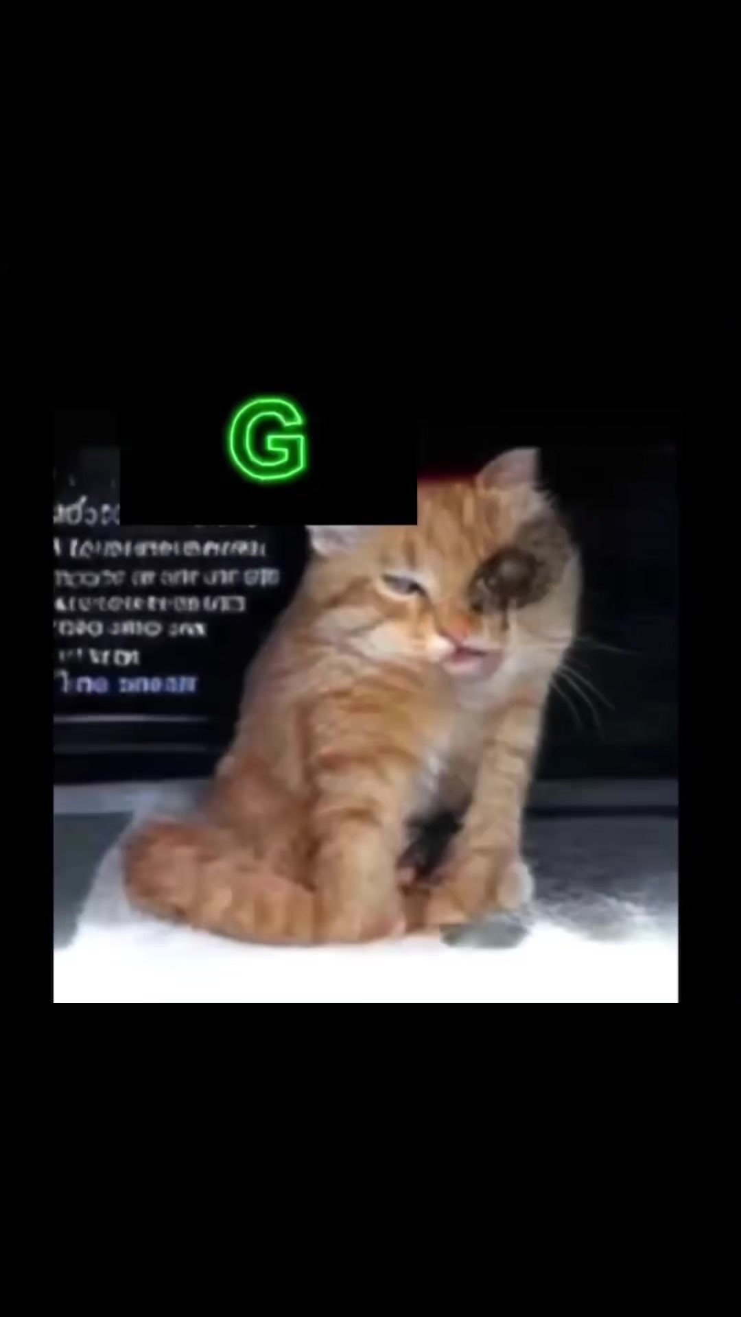 @jaspurr🐈⬛