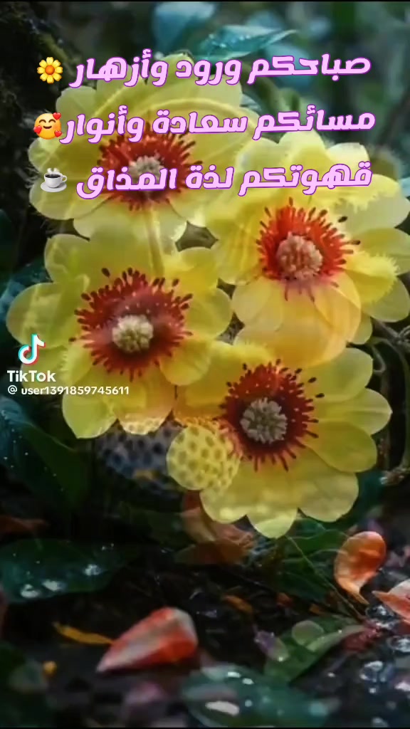 @مصطفى فيلسوف🏺