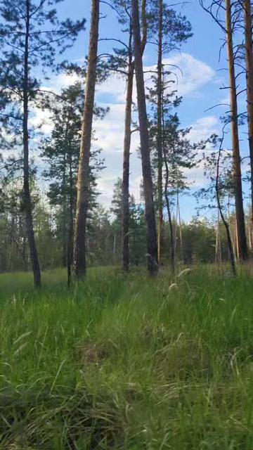@Татьяна Инякина